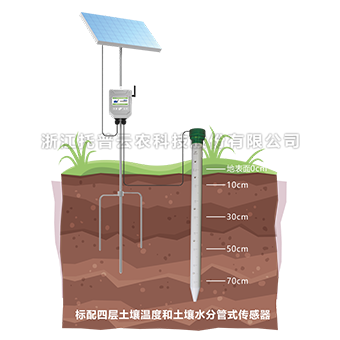 樱桃视频污在线看剖面水分速测仪