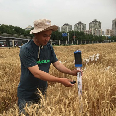 小麦株高测量仪 小麦株高测量仪