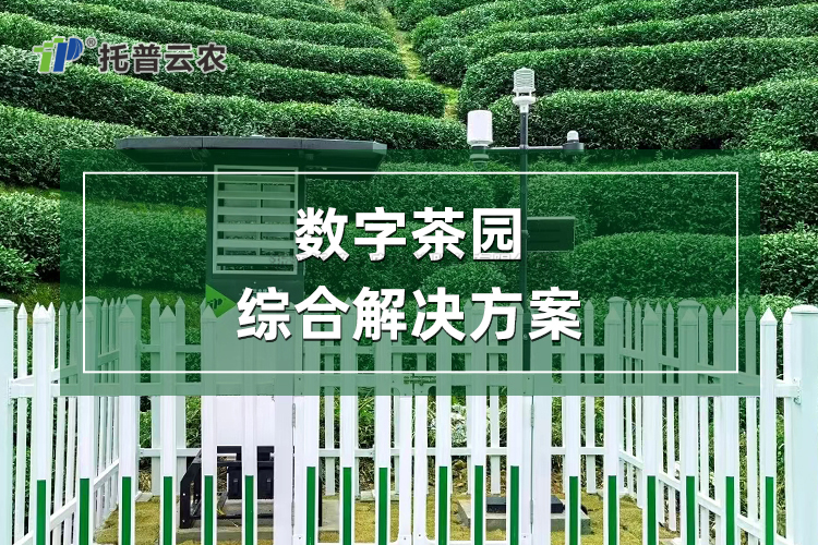 数字茶园综合解决方案