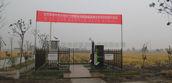 樱桃APP免费下载水稻病虫害绿色防控智能监测设备 樱桃APP免费下载水稻病虫害绿色防控智能监测设备