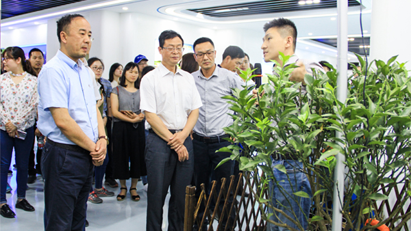 谢主任一行参观樱桃APP免费下载展厅 谢主任一行参观樱桃APP免费下载展厅