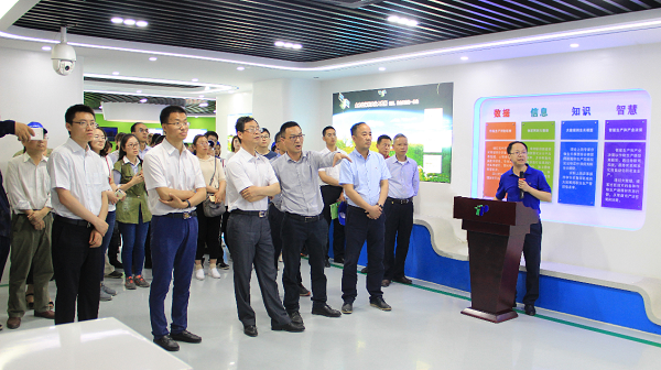谢主任一行参观樱桃APP免费下载展厅 谢主任一行参观樱桃APP免费下载展厅