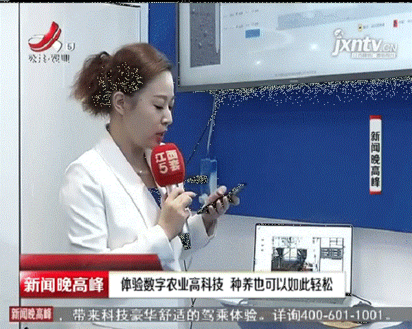 记者演示樱桃APP免费下载物联网设备的远程操控功能 记者演示樱桃APP免费下载物联网设备的远程操控功能
