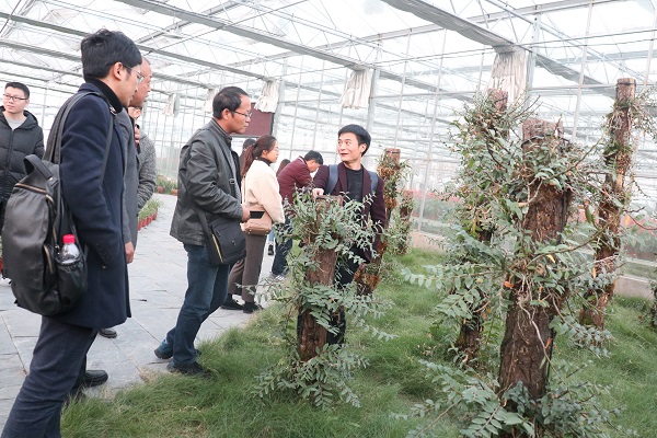 培训班参观樱桃APP免费下载临浦基地 培训班参观樱桃APP免费下载临浦基地