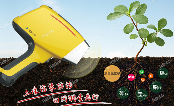 樱桃视频污在线看重金属快速检测仪 樱桃视频污在线看重金属快速检测仪