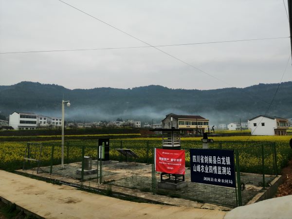 樱桃APP免费下载病虫害监测点 樱桃APP免费下载病虫害监测点