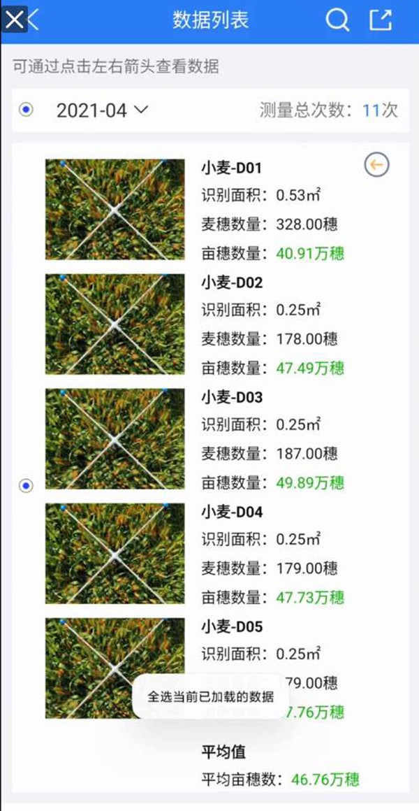 小麦亩穗数测量系统 小麦亩穗数测量系统