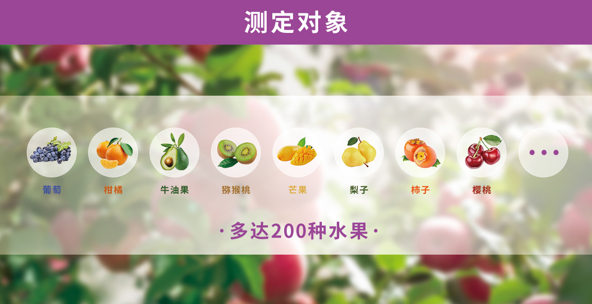 水果品质无损检测仪测定对象 水果品质无损检测仪测定对象