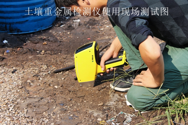 樱桃视频污在线看重金属检测仪使用现场测试图 樱桃视频污在线看重金属检测仪使用现场测试图