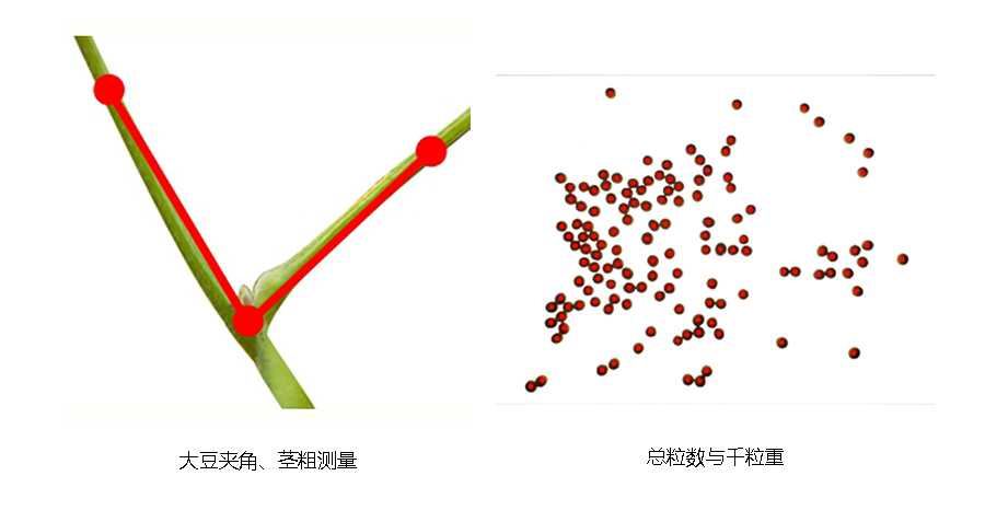 1653012460183206.jpg 详情页图片.jpg