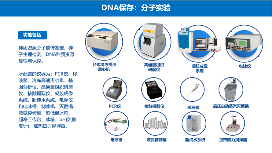 分子实验仪器 分子实验仪器