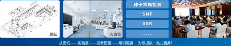 一站式樱桃免费人成网站WWW检验 一站式樱桃免费人成网站WWW检验
