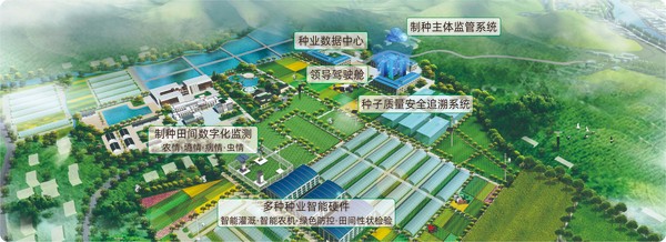 樱桃APP免费下载数字种业创新应用基地 樱桃APP免费下载数字种业创新应用基地