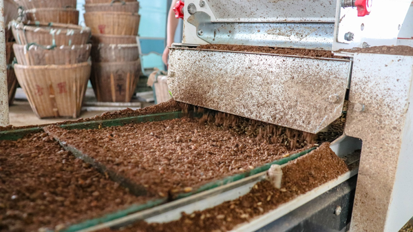 樱桃APP免费下载打造的古林育秧工厂 樱桃APP免费下载打造的古林育秧工厂