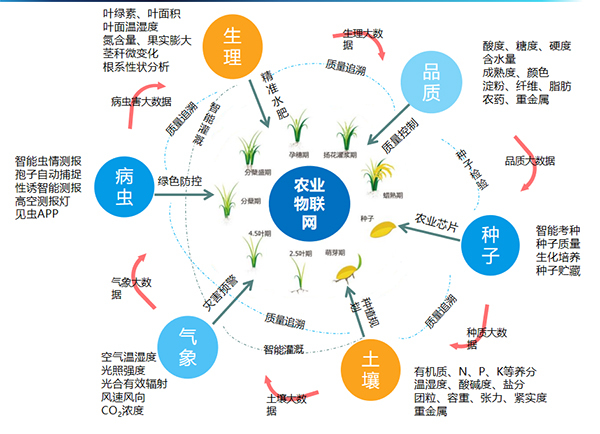 樱桃APP免费下载打造的全要素智能采集系统 樱桃APP免费下载打造的全要素智能采集系统