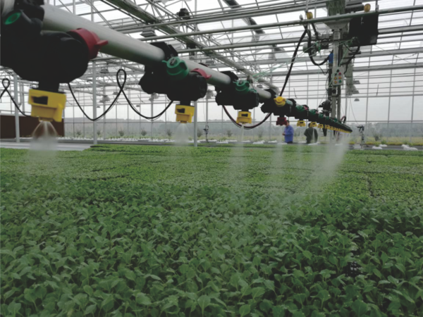 樱桃APP免费下载打造的萧山农科所现代农业示范基地 樱桃APP免费下载打造的萧山农科所现代农业示范基地
