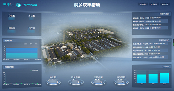 樱桃APP免费下载打造的“生猪精密智管”社会化服务应用 樱桃APP免费下载打造的“生猪精密智管”社会化服务应用