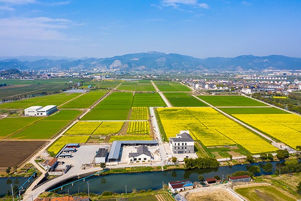 1669185284136636.jpg