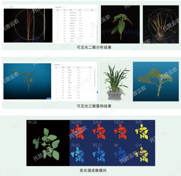 1730439987348195.png seo (2).png
