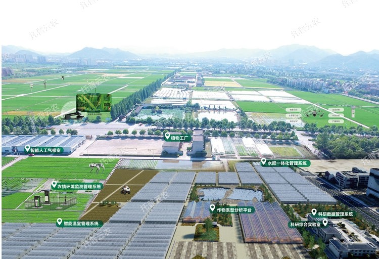 1762743497459372.jpg 1 封面图.jpg
