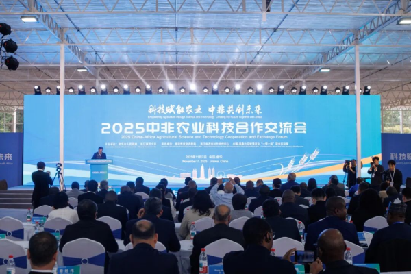 1762765852364301.png 图片1_副本.png