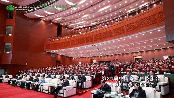 1763437335364139.jpg 图片2_副本.jpg