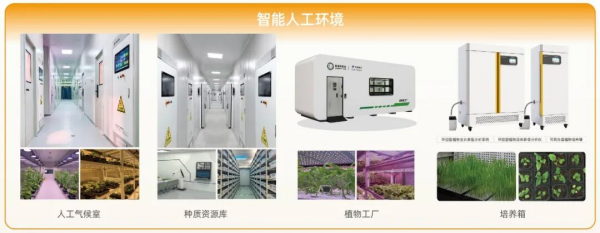1763444291950048.png 图片2_副本.png