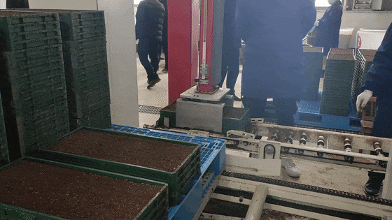 1763444308588879.gif 图片3.gif