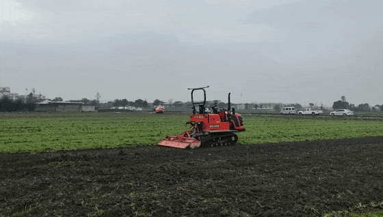 1763444341733995.gif 图片4.gif