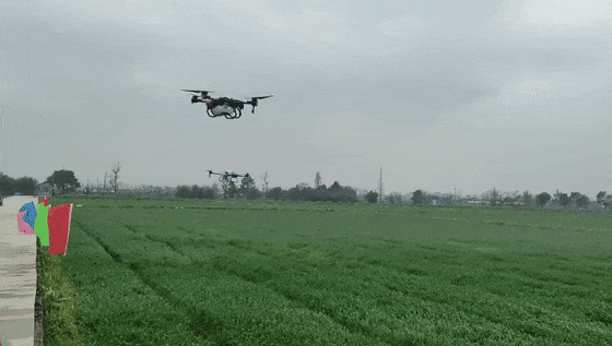 1763444364616684.gif 图片5.gif