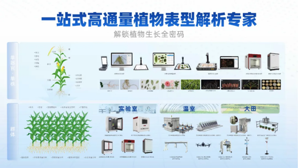 1763444514293612.png 图片7_副本.png