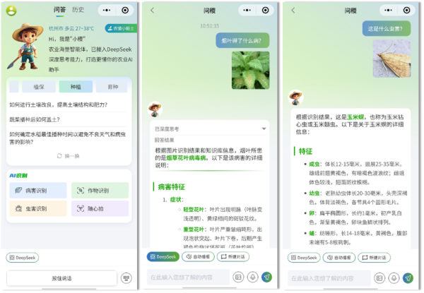 1763445324240165.png 图片3_副本.png