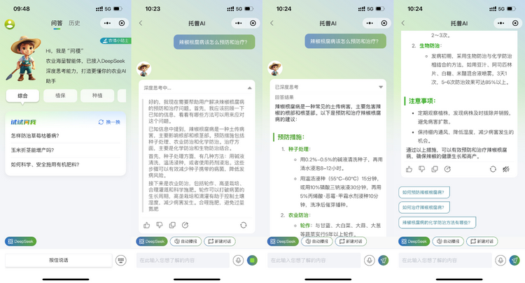 1768267551370156.png 问答界面.png