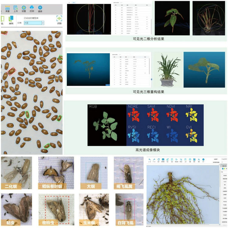 1768267586122155.jpg 问稷技术应用.jpg