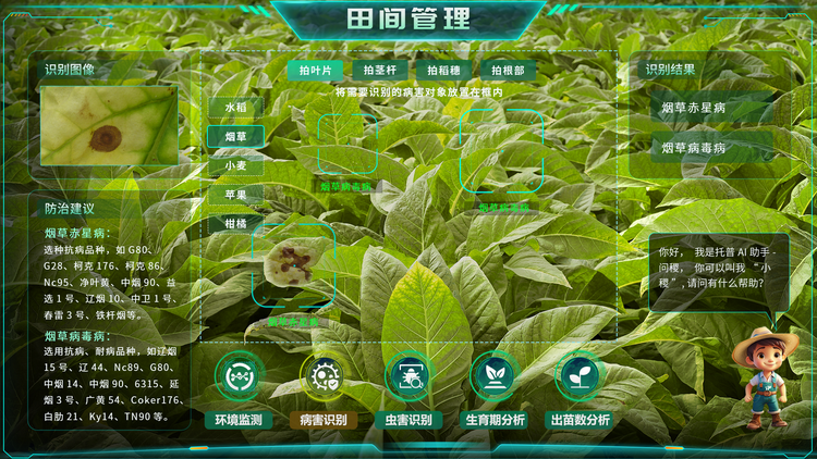 1768268094577848.png 烟草病害识别.png
