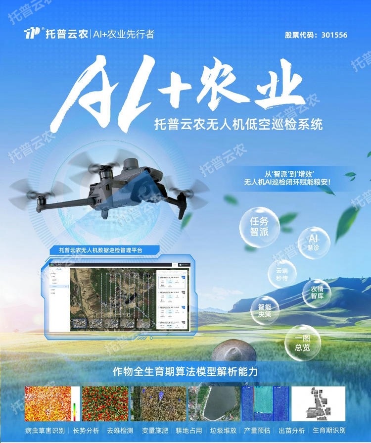 1768294258672865.jpg 详情1.jpg