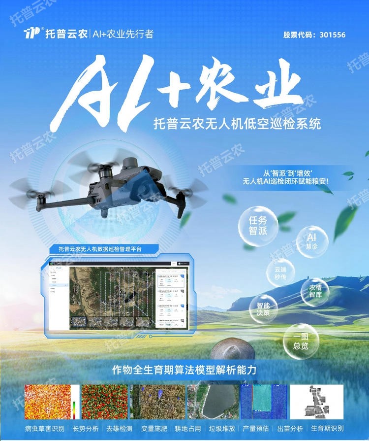 1768294435594103.jpg 详情1.jpg