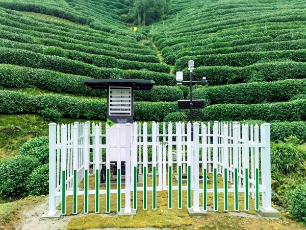1768297365127618.jpg 西湖茶园气象监测(1)_副本.jpg